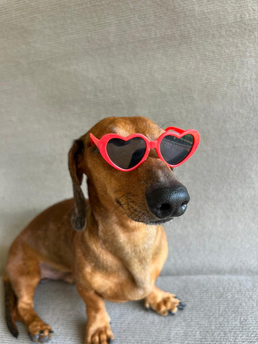 ANTEOJO CORAZON ROJO