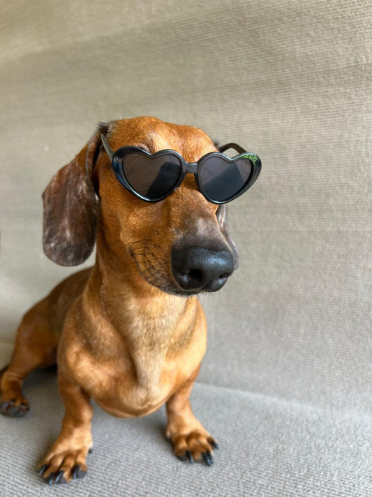 ANTEOJO CORAZON NEGRO