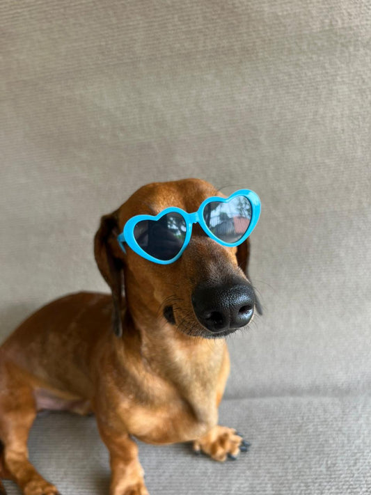 ANTEOJO CORAZON CELESTE