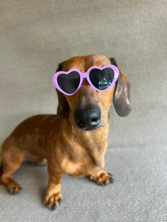 ANTEOJO CORAZON MORADO