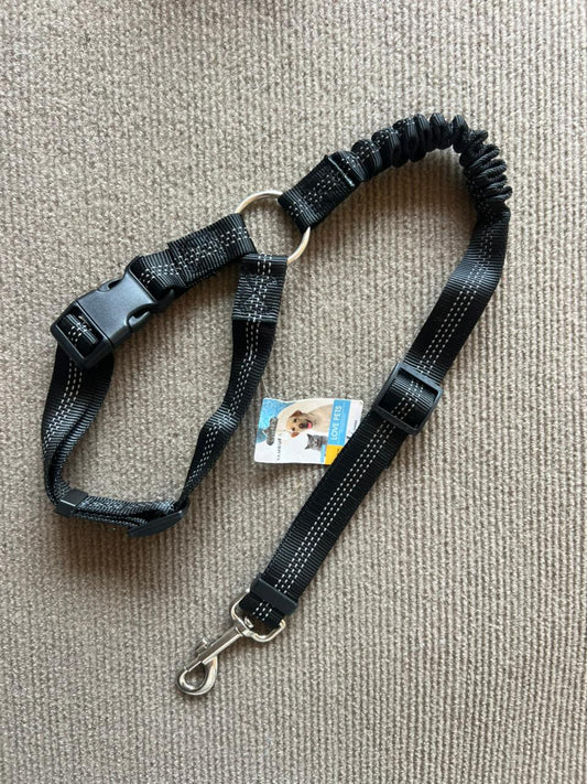 CINTURO PARA CARRO RESPALDAR