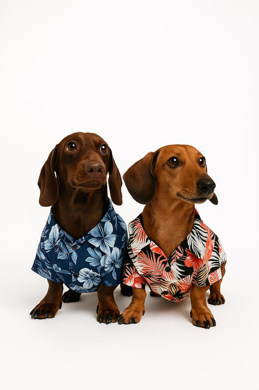 CAMISA HAWAIANA