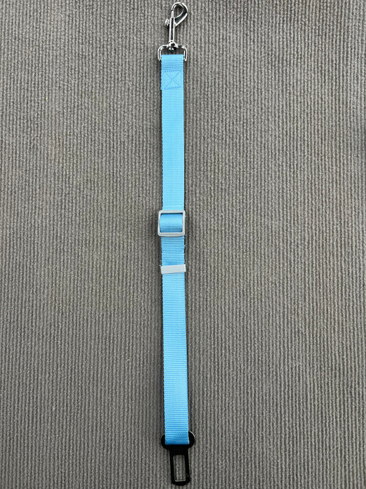CINTURÓN DE SEGURIDAD CELESTE