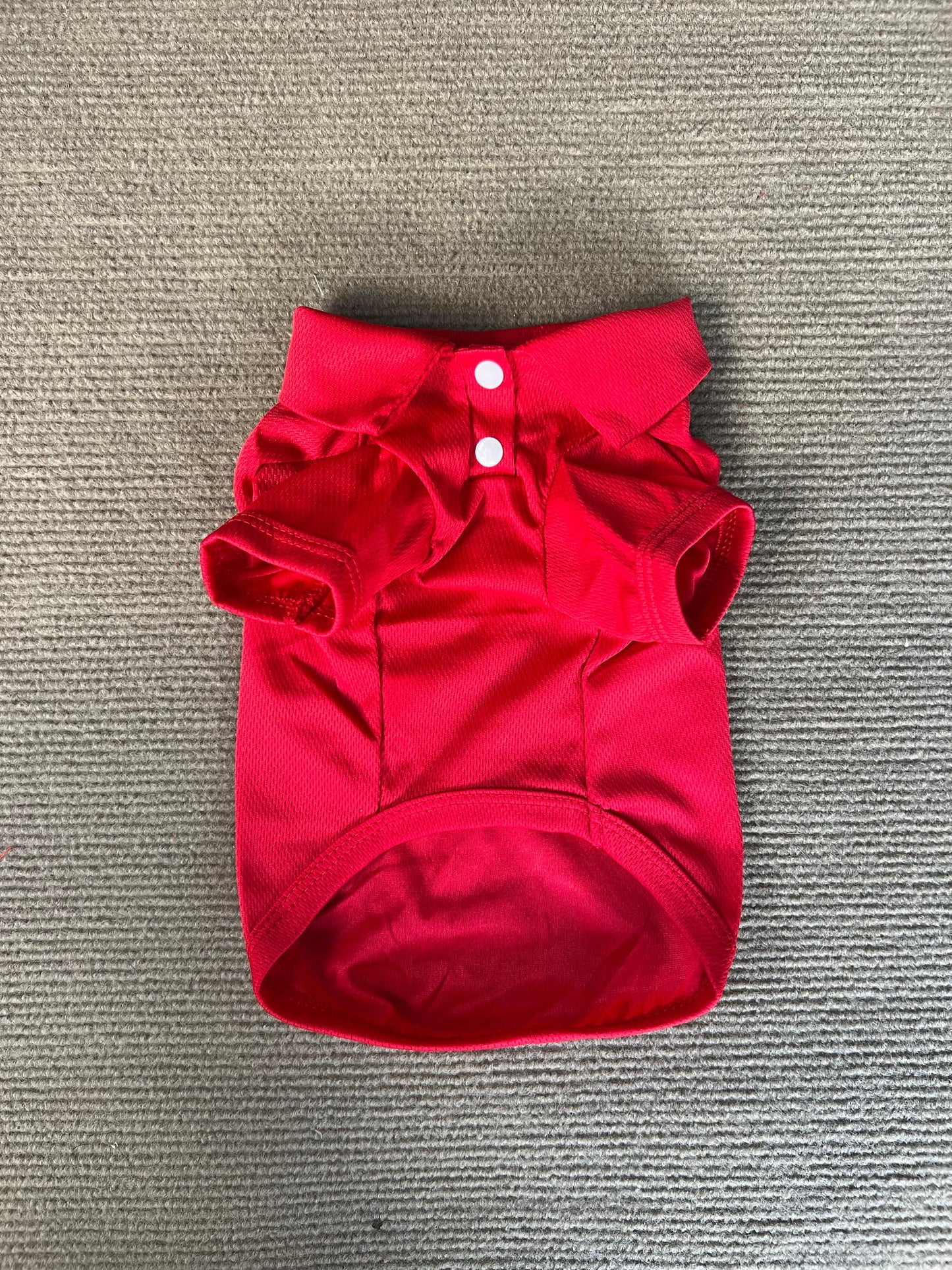 CAMISA TIPO POLO ROJA