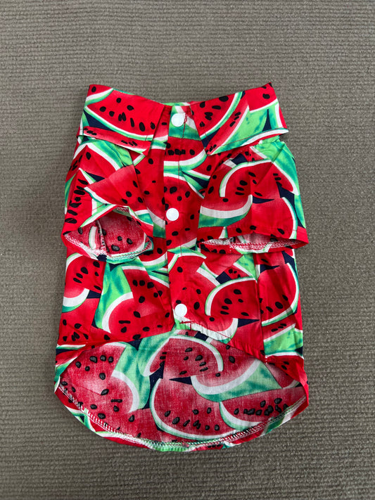 CAMISA DE SANDIA