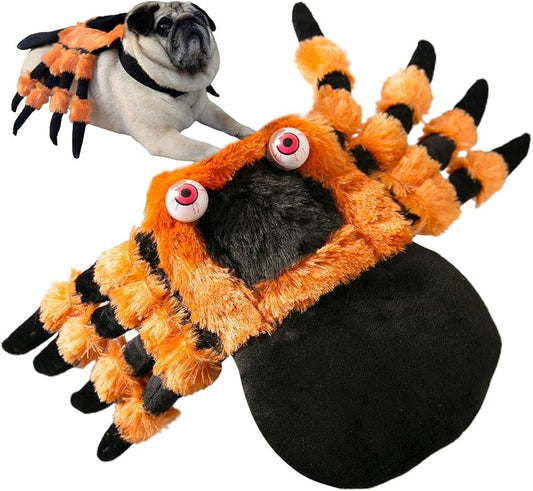 TRAJE DE ARAÑA