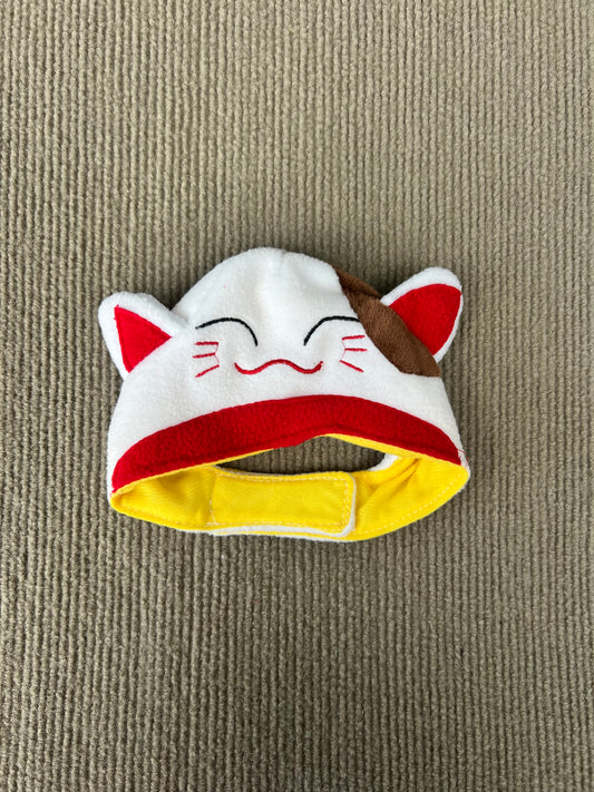SOMBRERO DE GATO
