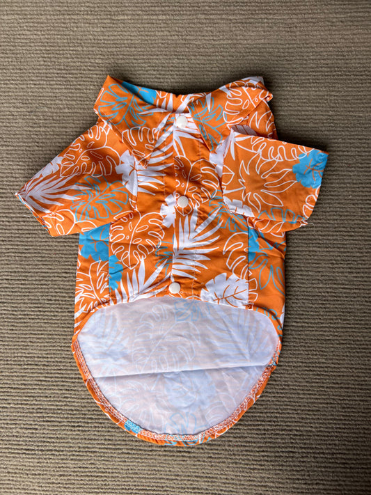 HAWAINA  NARANJA