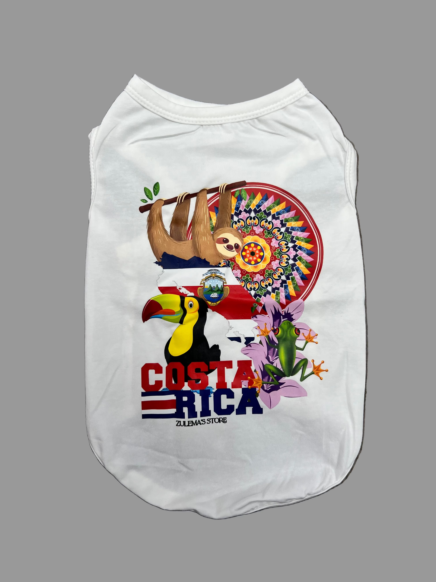 CAMISETA COSTA RICA 🐸🇨🇷