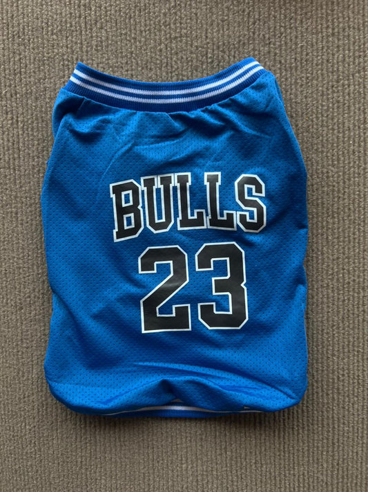 CAMISETA BULLS AZUL
