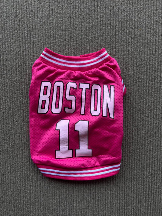 CAMISA BOSTON ROSA