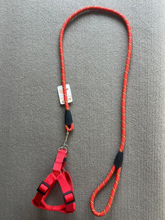 ARNES DISEÑO ROJO