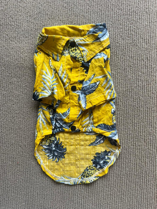 HAWAIANA FLOR AMARILLA