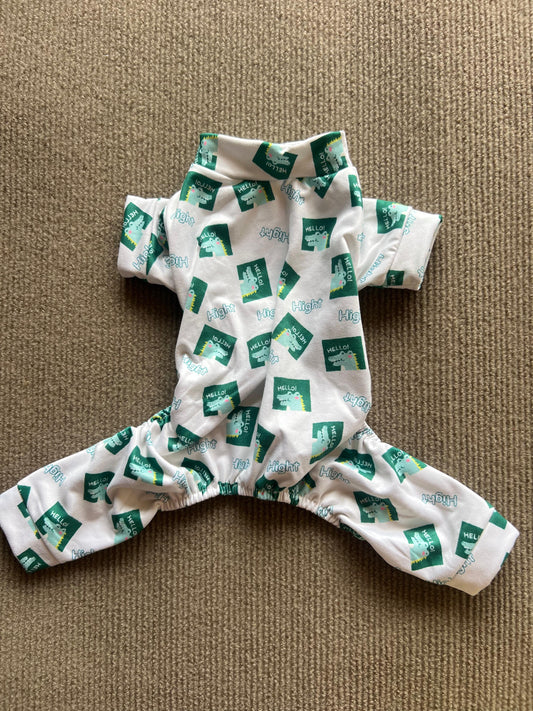 PIJAMA LAGARTO