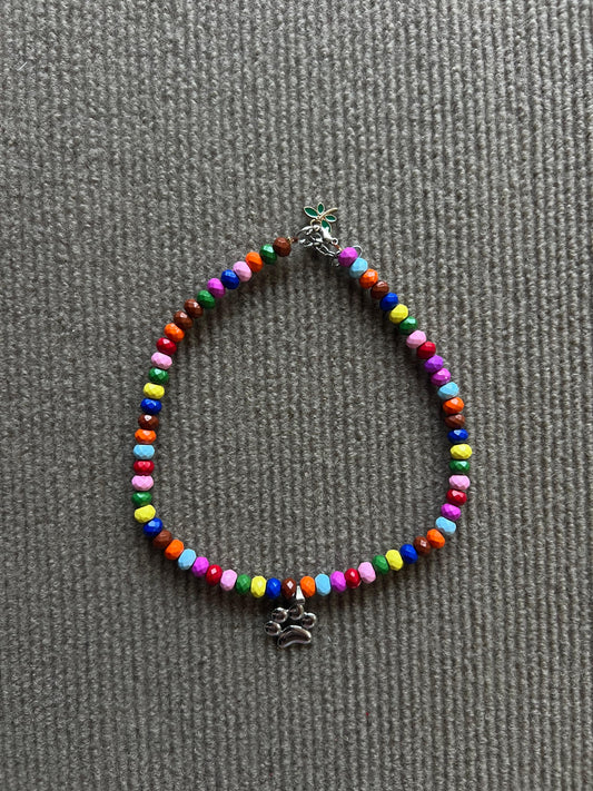 COLLAR COLORES Y HUELLAS NEGRA