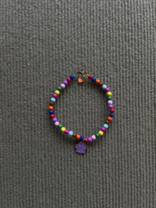 COLLAR COLORES Y HUELLA MORADA